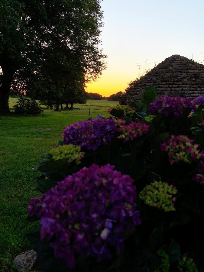 Au Coeur De La Nature Allaire المظهر الخارجي الصورة
